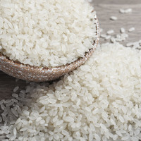 太粮鸣象(尊桂)油粘米5kg