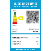 澳柯玛176升BCD-176NE双开两门冷藏冻小型电冰箱家用租房宿舍单人