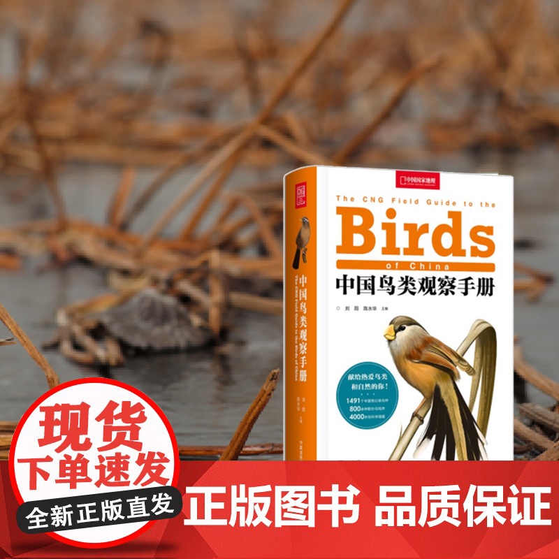 中国鸟类观察手册 中国鸟类行为动物科普图鉴 珍惜森林草原野鸟形态图鉴野生动物百科中国国家地理书籍正版高清大图