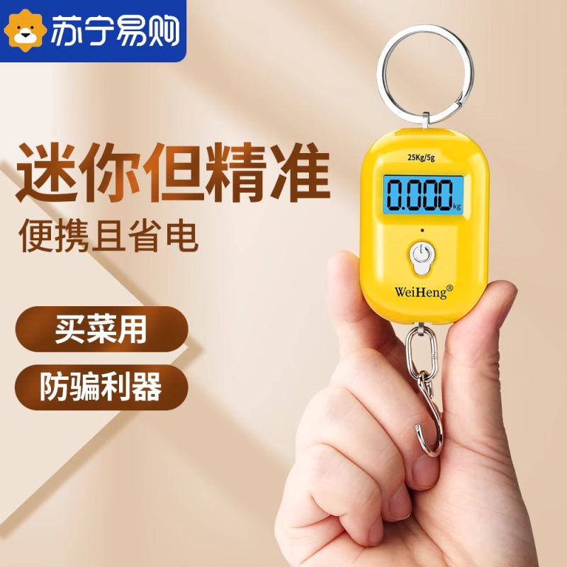 精准迷你手提电子秤高精度家用小型便携式钥匙扣弹簧称mini称8138