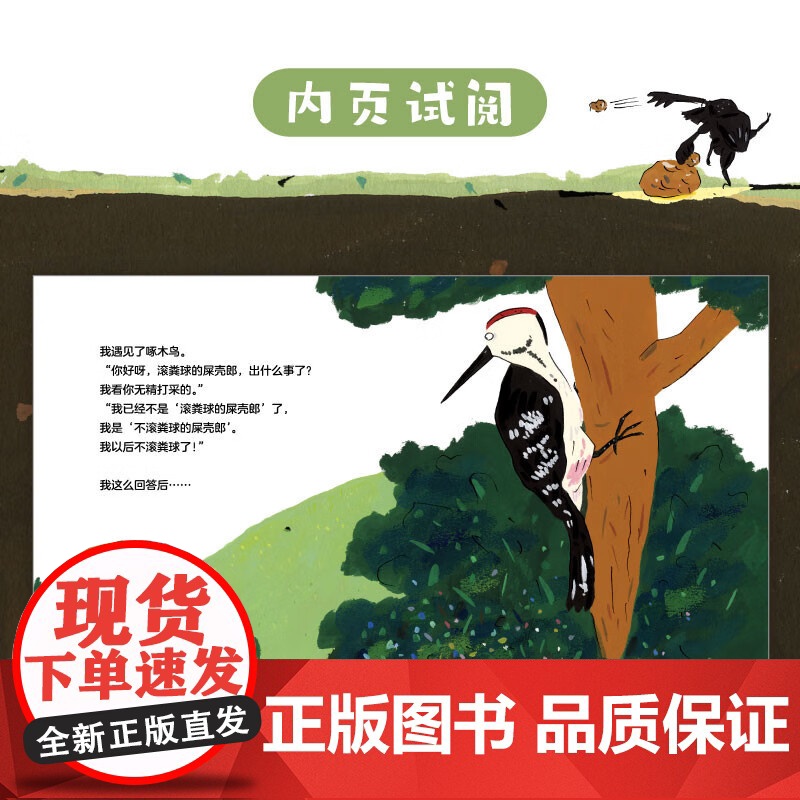 不滚粪球的屎壳郎 大塚健太 著 儿童绘本 预售高清大图