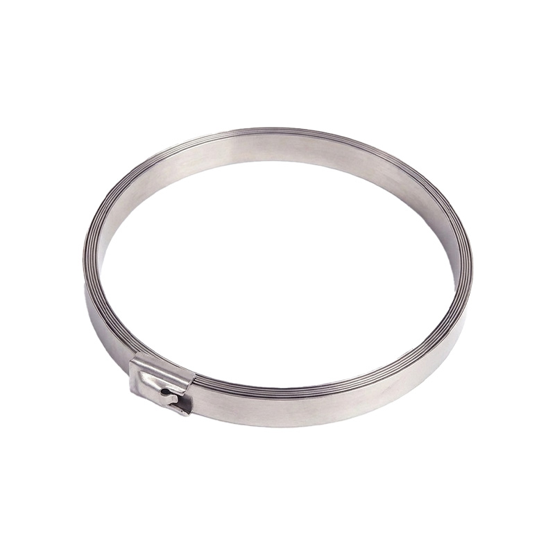 斯赞 304不锈钢扎带自锁式捆绑扎带 19*3000mm 根