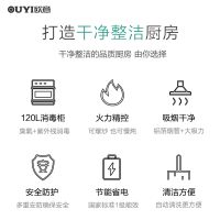 欧意(OUYI)集成灶一体灶蒸箱烤箱消毒柜自动清洗家用环保灶侧吸下排式 尊崇款[烟灶消]