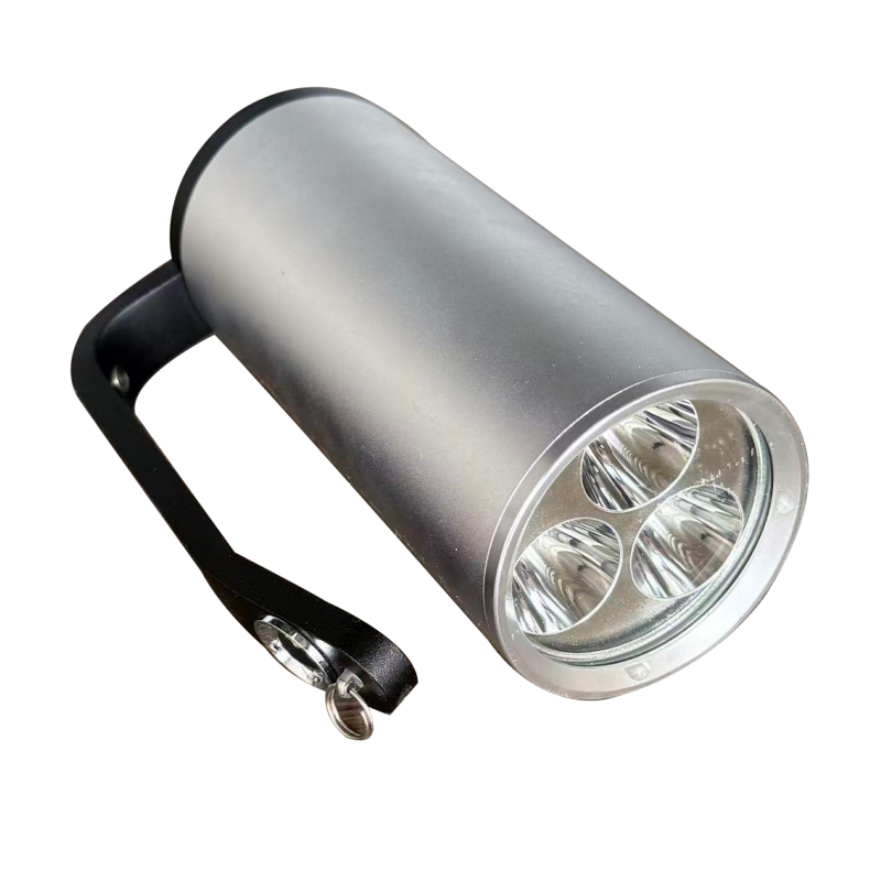 鸿灵睿芯 FBDT01s IP68 11.1V 9W LED 便携式手提工作灯 (计价单位:盏) 银色高清大图