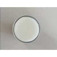 【1】【店】【优品】印尼原装进口GELIGA鹰标肌肉酸痛膏按摩膏 40g