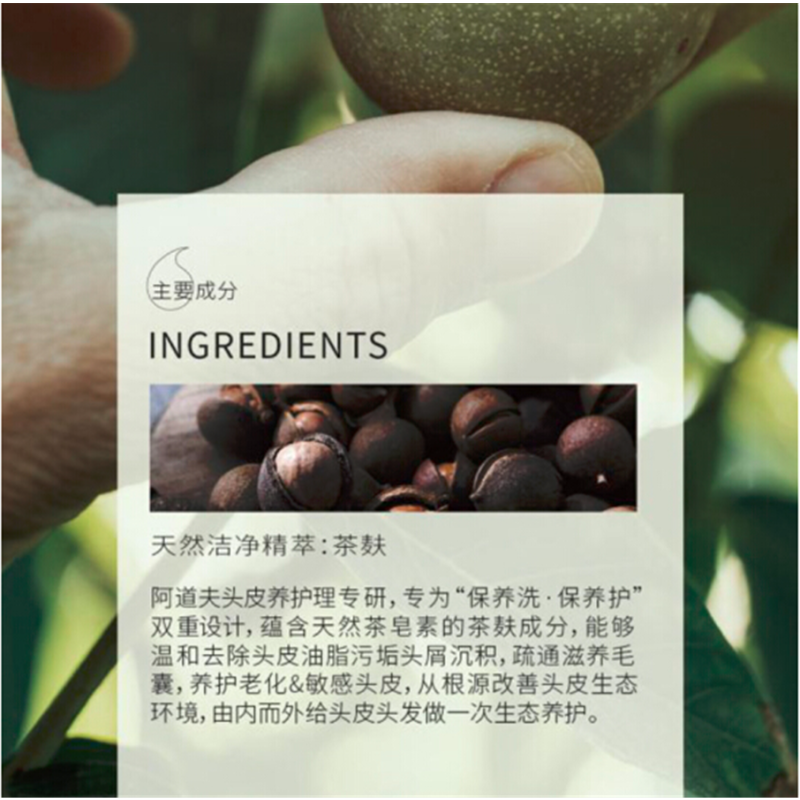 阿道夫(ADOLPH) 人参自然洗发水(焗养丝滑)500g/瓶