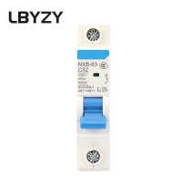 LBYZY NXB微型断路器 小型过载空气开关 NXB-63-1P 32A 5个起订