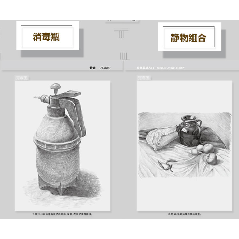 正版新书]素描基础入门--静物七彩绘工作室 绘9787531483298高清大图