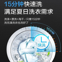 海尔(Haier)洗衣机全自动波轮8公斤大容量直驱变频节能 一键启动操作XQB80-BZ1269