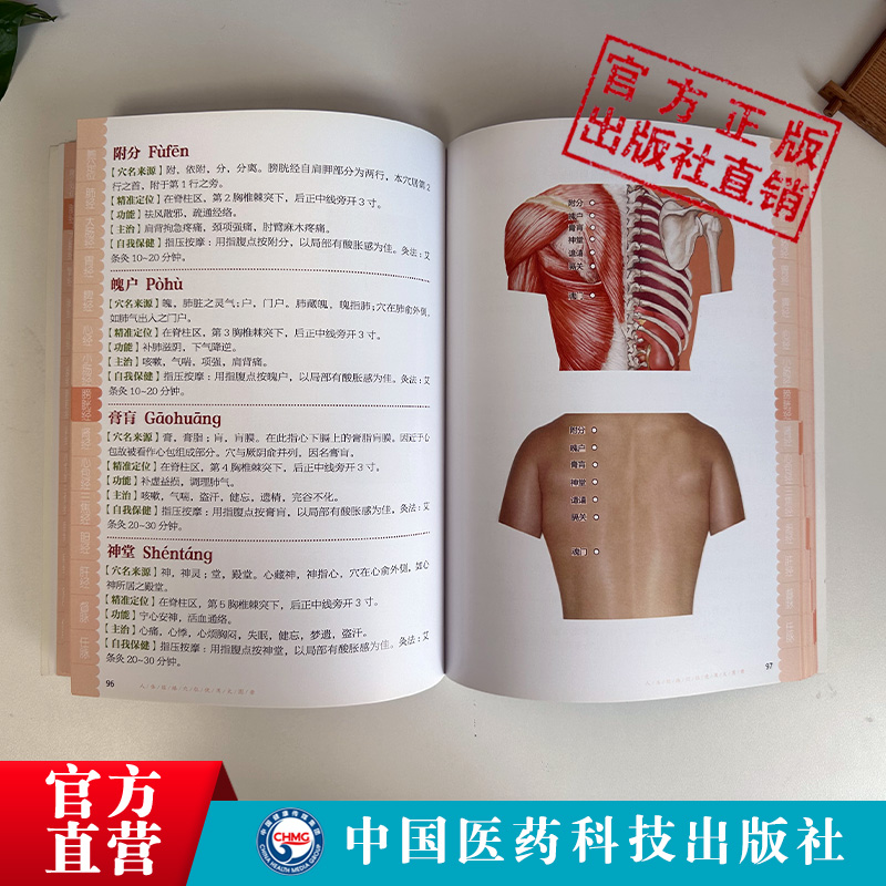 [醉染正版]人体经络穴位使用大图册郭长青社人体穴位经络图人体经络穴位图解书人体经络穴位标准大图册全身穴位图文定位美体针灸高清大图