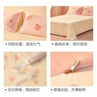 水星出品百丽丝家纺暖绒牛奶绒抗静电小清新四件套秋冬保暖单双人套件床品