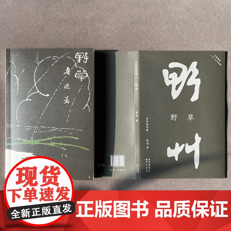 正版 野草初版百年纪念版鲁迅亲定的传世母本鲁迅亲自编定孙福熙绘封面的传世母本文学名家作品书籍23篇散文诗现当代文学书高清大图