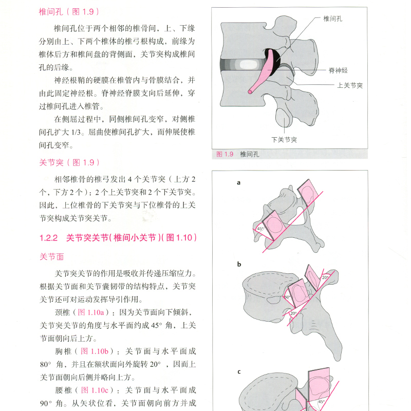 [正版]肌骨关节功能解剖图解 推拿 按摩 扳机点运动治疗刘楠 编解剖学基础肌骨触诊与扳机点筋膜手法治疗整脊技术书籍高清大图