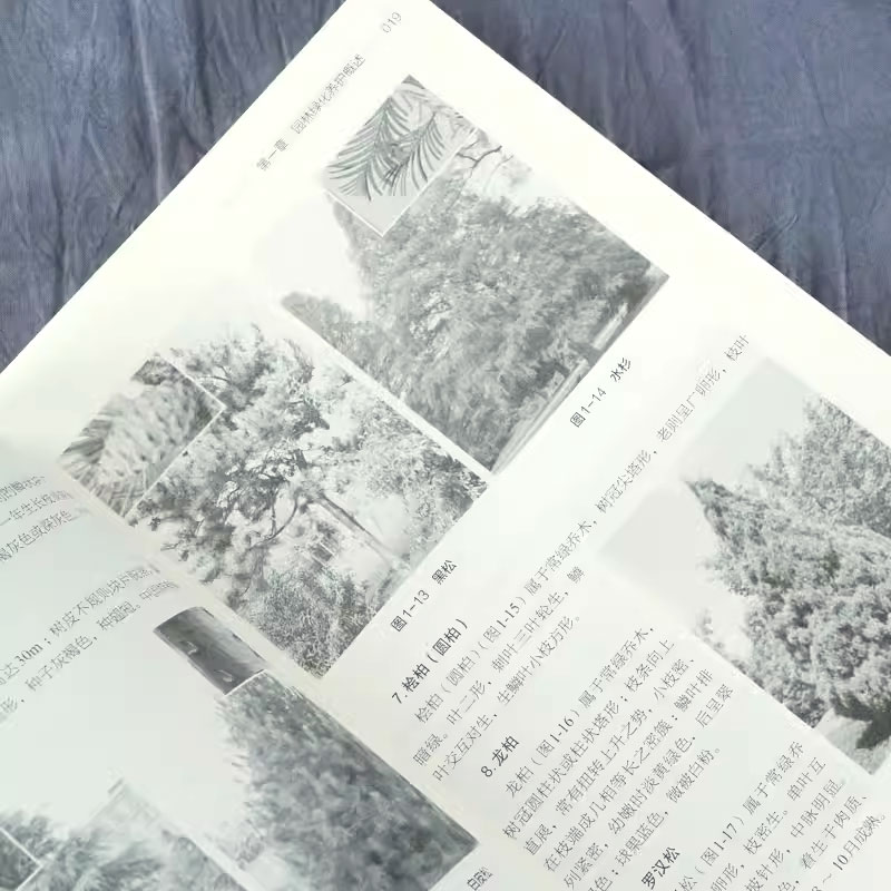 [正版]园林绿化养护与管理从入门到精通 赖松江 园林树木花卉水生植物栽植草坪园林竹类移植智慧园林绿化养护书籍高清大图