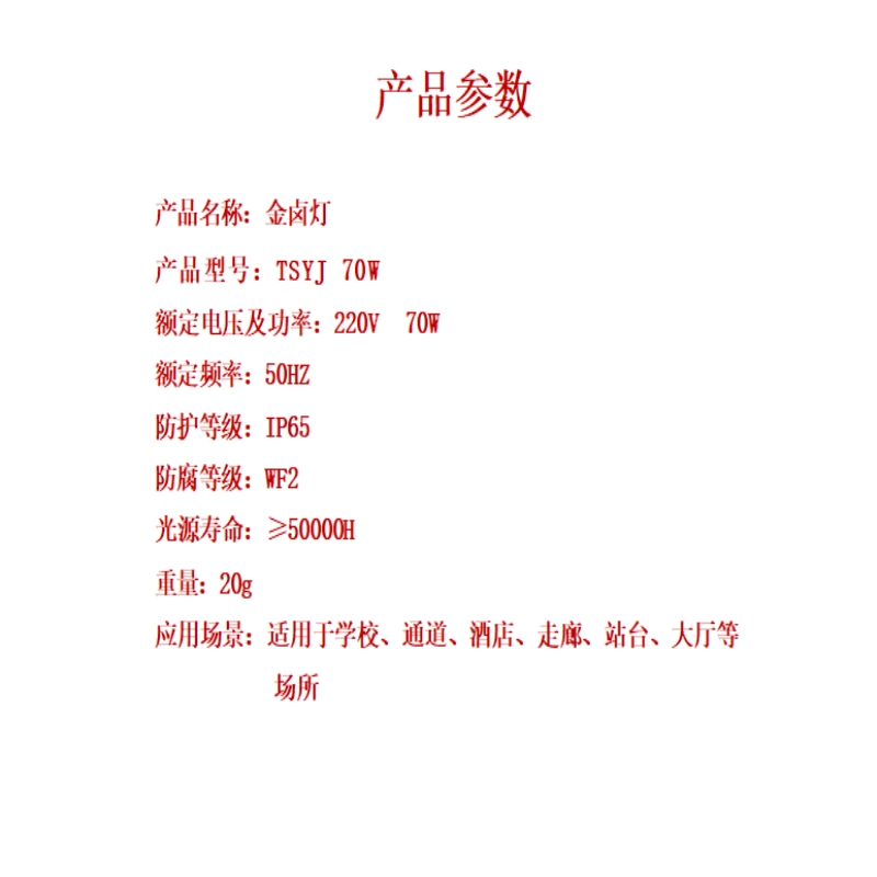 圣恩天泽 金卤灯 TSYJ 70W 个高清大图