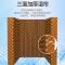 先锋（Singfun）工业冷风扇LZS60-18A 40L大水箱 3档风速 家用远距离送风加水商用工厂空调扇