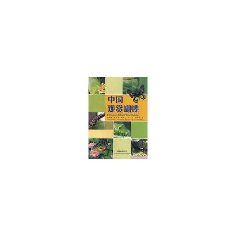 醉染图书中国观赏蝴蝶9787503852770高清大图