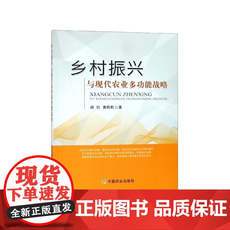 乡村振兴与现代农业多功能战略高清大图