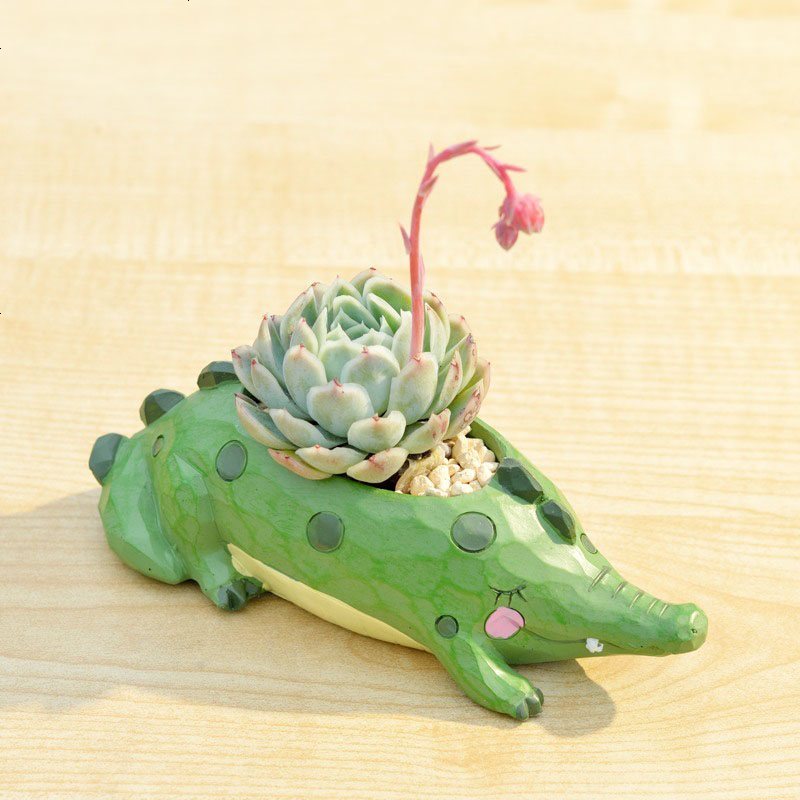 zakka田园多肉花盆可爱卡通动物花盆鲸鱼花园派对创意小花盆套餐