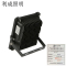 利成照明 投光灯 LC1320-30W