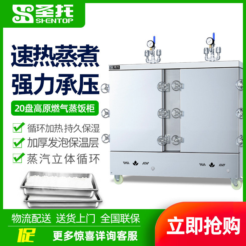 圣托(Shentop)商用高原燃气蒸饭柜 20盘双门燃气蒸柜蒸饭车高压智能全自动蒸箱节能海鲜蒸柜 DDE14
