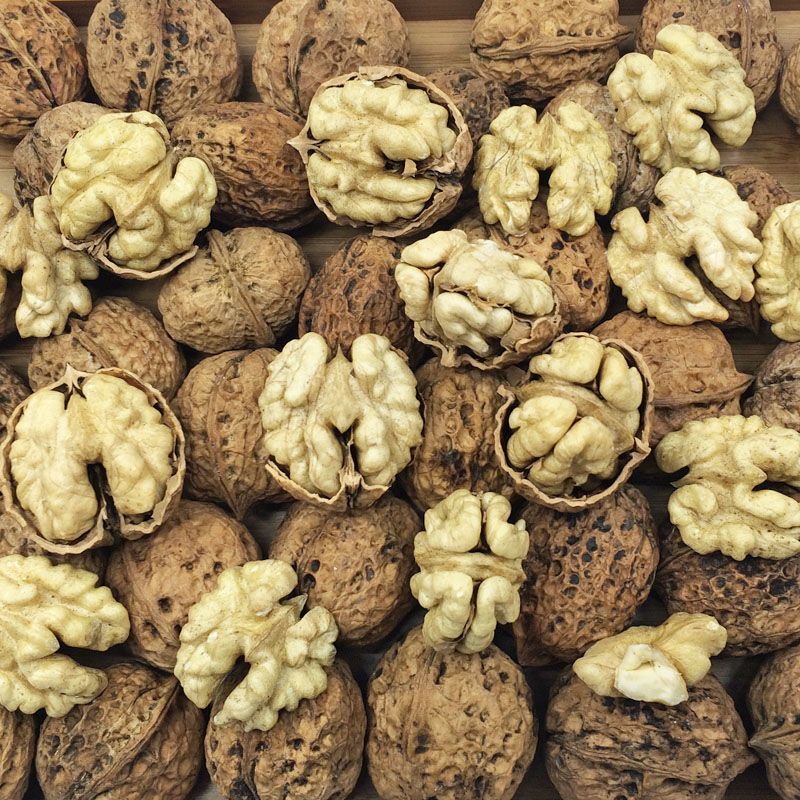 新货核桃薄皮丑核桃送夹子纸皮核桃儿童零食坚果批发 精选丑核桃2斤