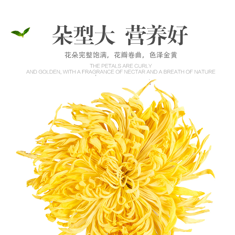 彤顺堂 金丝皇菊大菊花茶一朵一杯茶叶黄大菊搭胎贡菊花茶15朵/盒