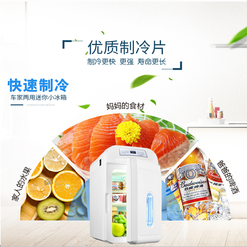 先科(SAST))28L车载冰箱24V/220V车家两用制冷移动冷藏箱 聚氨酯快速制冷发泡小冰箱