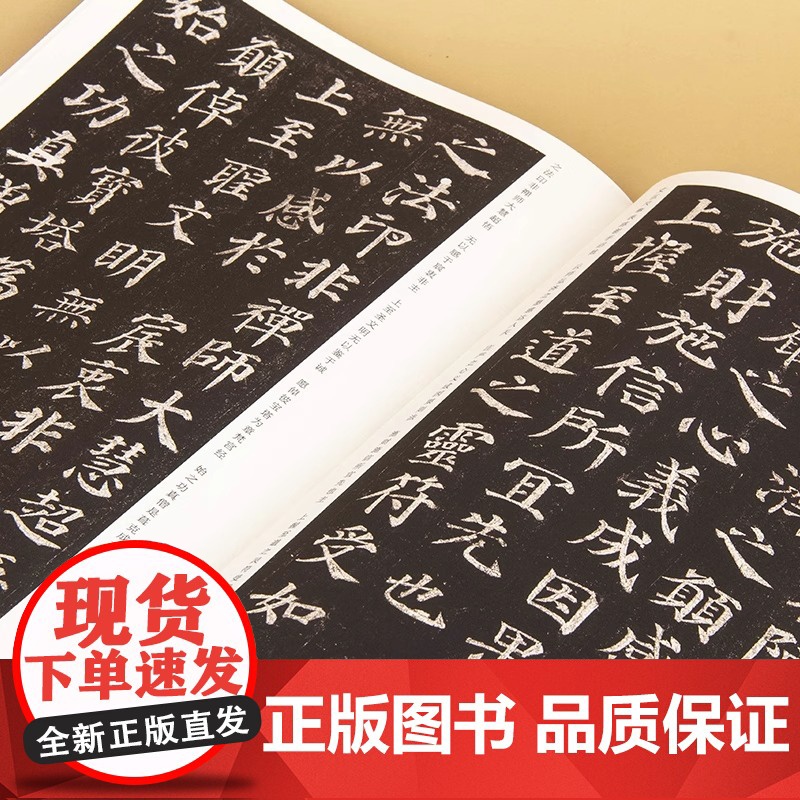 中国历代名碑名帖精选 颜真卿多宝塔碑 中国碑帖名品颜体楷书毛笔字帖书法临摹古帖宋拓本正版书籍颜体楷书毛笔字帖书法临摹临帖高清大图