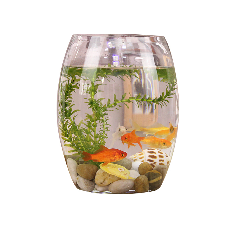 创意桌面鱼缸生态圆形玻璃金鱼缸乌龟缸迷你小型造景家用水族视频