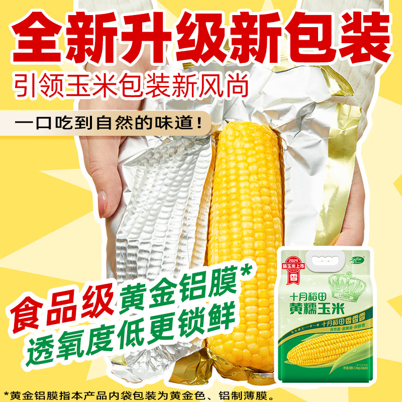 十月稻田黄糯玉米1.76kg 单位:袋