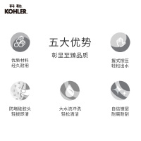 科勒依莱 厨卫清洁喷枪2.0 OL+三通