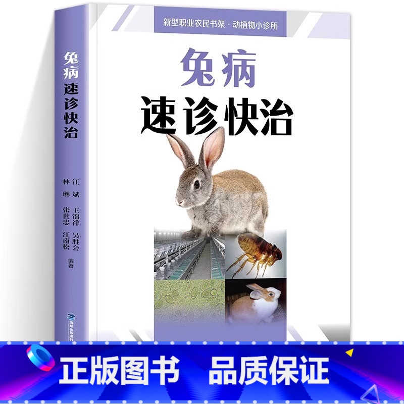 【正版】 兔病速诊快治 养兔技术书籍大全 兔病治疗书籍高效科学养兔规模化养殖饲养喂养 养兔小尾兔散养圈养快速出栏方法技
