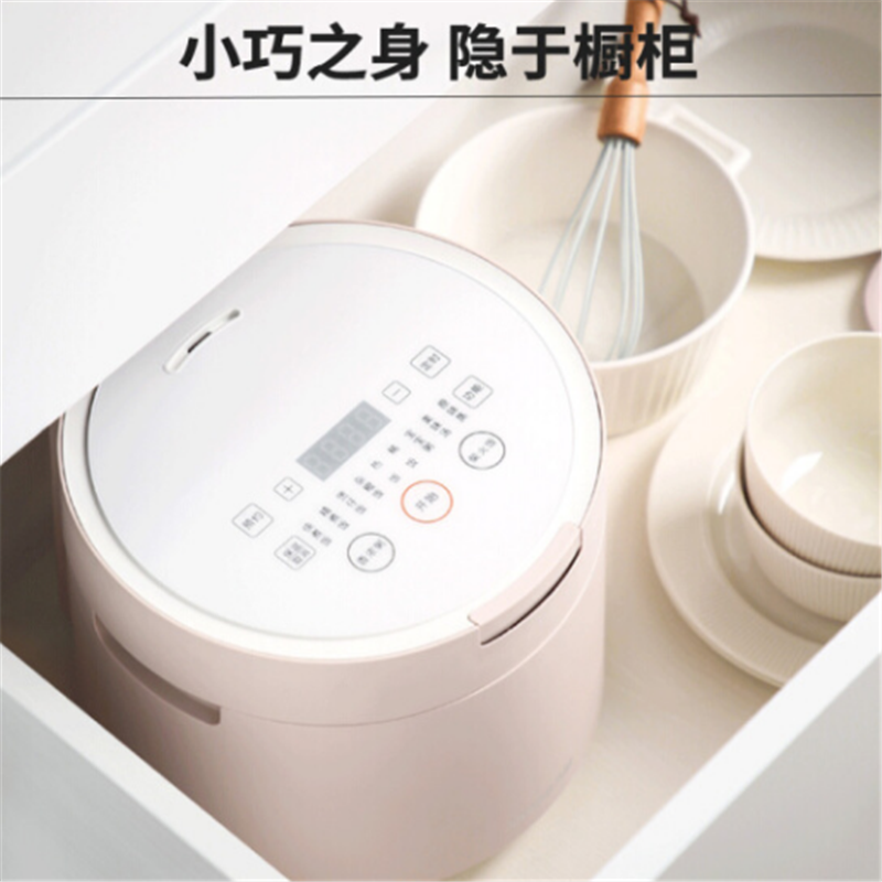 九阳电饭煲25FZ1