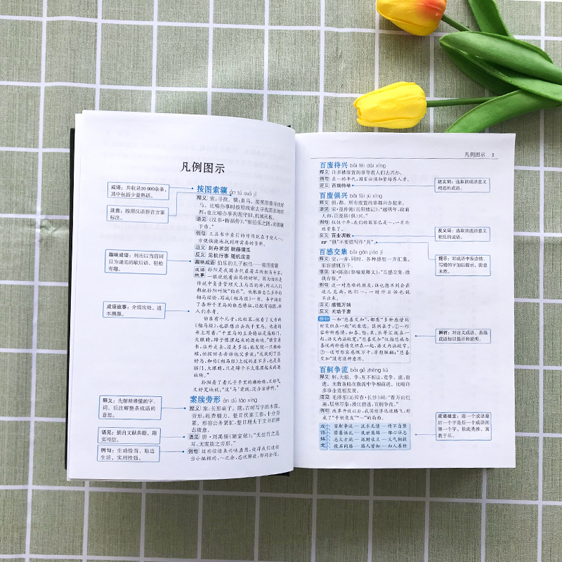 [正版]中华成语大词典牛耳学生实用高中初中小学生大词典多全功能工具书大全字典中学生儿童中小学四字词典