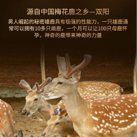 南京同仁堂福记坊人参鹿鞭丸人参鹿鞭牛鞭覆盆子枸杞男性40g/瓶*3瓶