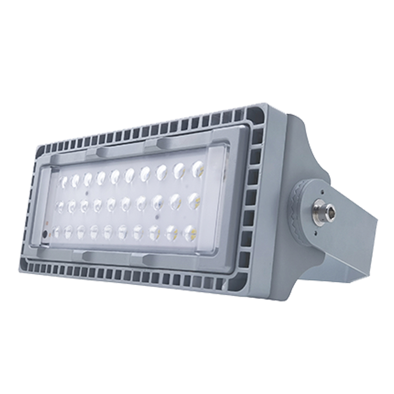 驰洛科 CLTG9280-100 220V 100W IP65 投光灯 (计价单位:个) 银灰色高清大图