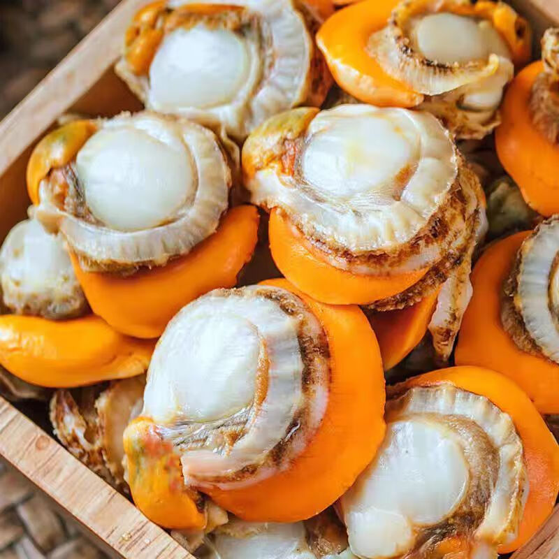 祈源扇贝肉1000g