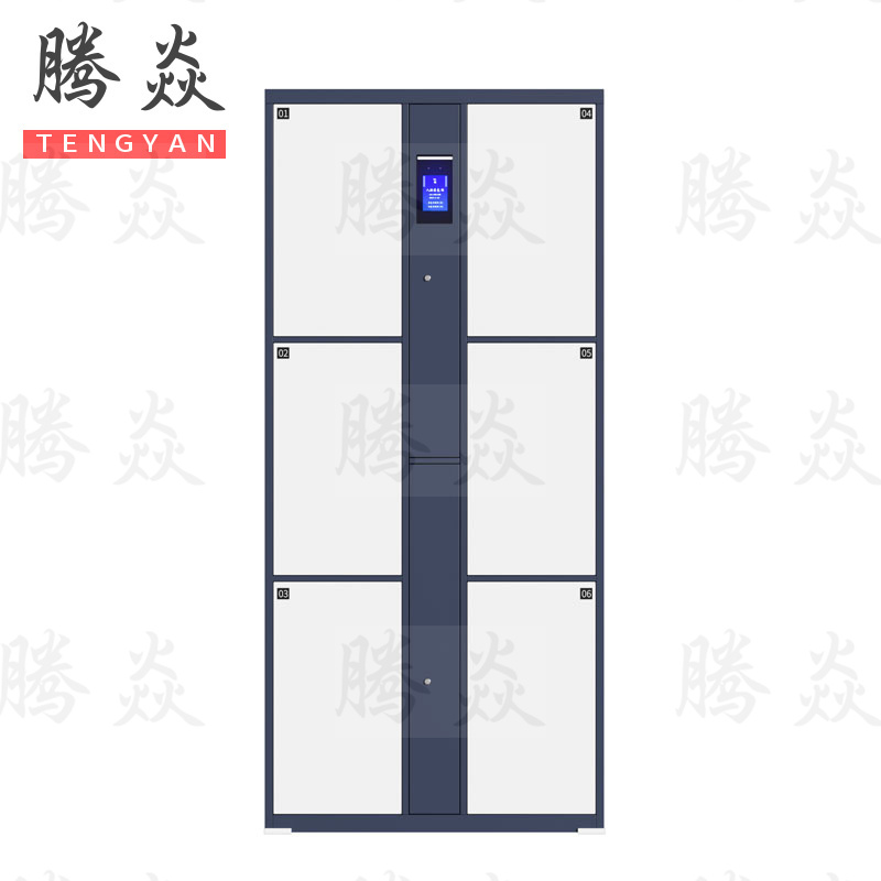 腾焱智能更衣柜6门台