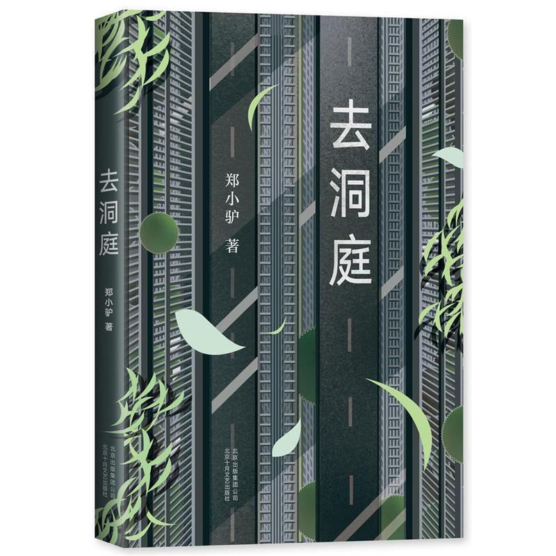 正版新书]去洞庭郑小驴9787530218914高清大图