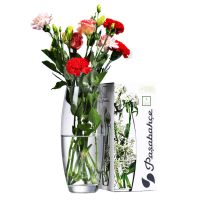 pasabahce帕莎帕琦 花瓶26cm