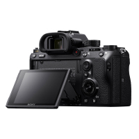 索尼(SONY) ILCE-9 数码微单相机 单机身 20张/秒连拍 4K视频 5轴防抖