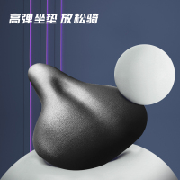 舒华舒华动感单车家用智能室内运动自行车小型磁控低音减肥健身车玉兔霜花白