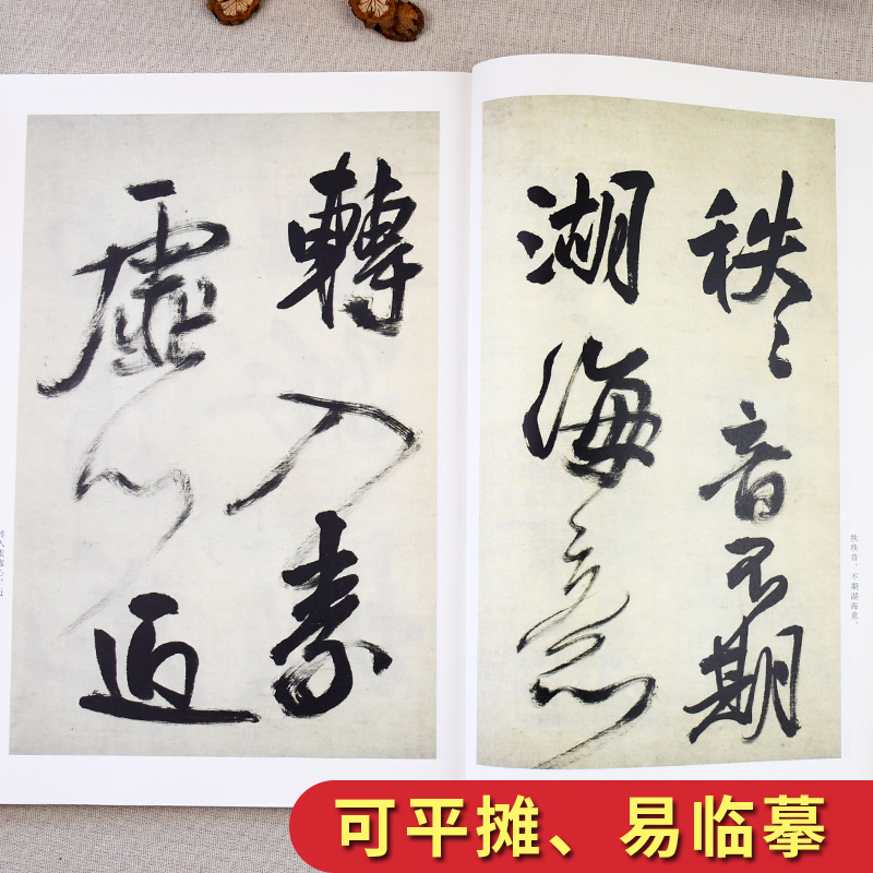 [正版] 王铎赠张抱一诗卷 行书毛笔字帖原帖+放大 16开碑帖放大对照本 附简体旁注 初学者成人书法速成临摹书法高清大图