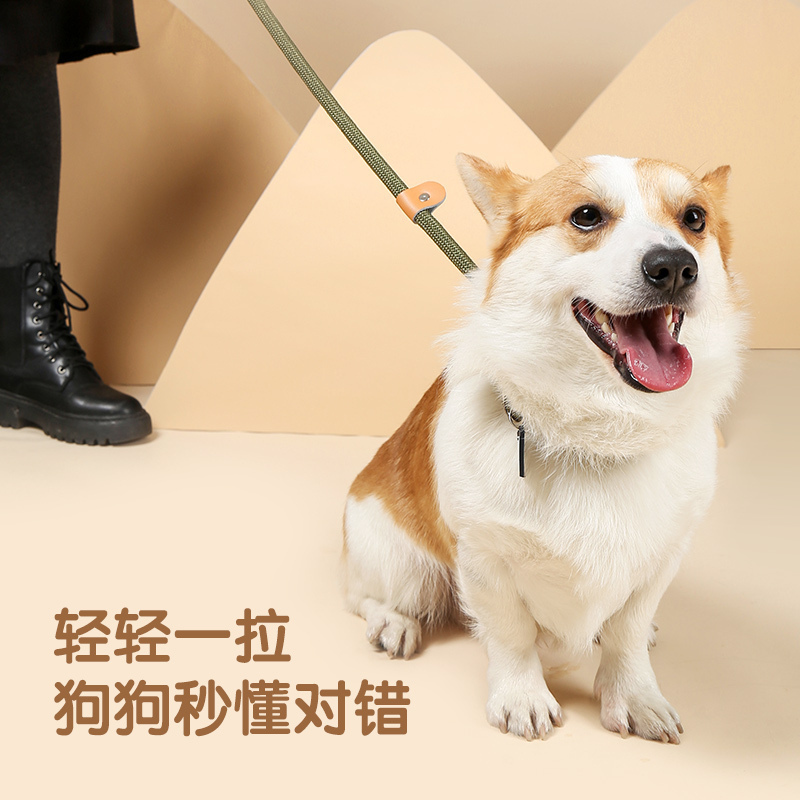 MPETS狗狗牵引绳p绳p链狗绳子大中小型犬柯基网红防爆冲遛狗链子-20~150斤内适用蓝绿-B夜间反光款