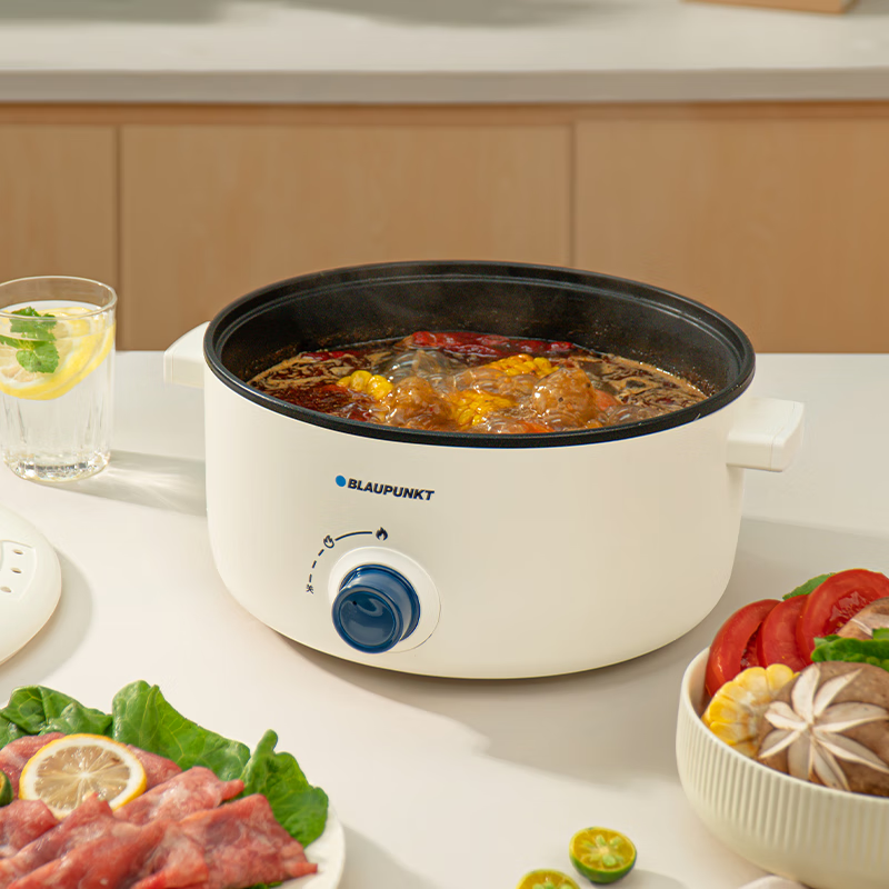 蓝宝(BLAUPUNKT)电煮锅 电火锅家用大容量2-4人使用多功能锅 BP-DZG20-3.5L
