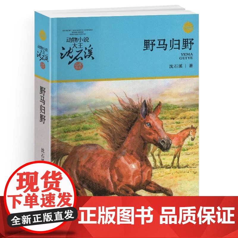 野马归野 动物小说大王沈石溪品藏书系新版 7-10-14岁儿童动物故事读物书 小学生课外书 三四五年级课外阅读故事书籍