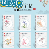 绿彩虹光练字成年簪花小楷男女生字体漂亮凹槽练字帖大学生21天速成器初学者入门套装临摹练习写字帖正楷钢笔硬笔书法练字本成人
