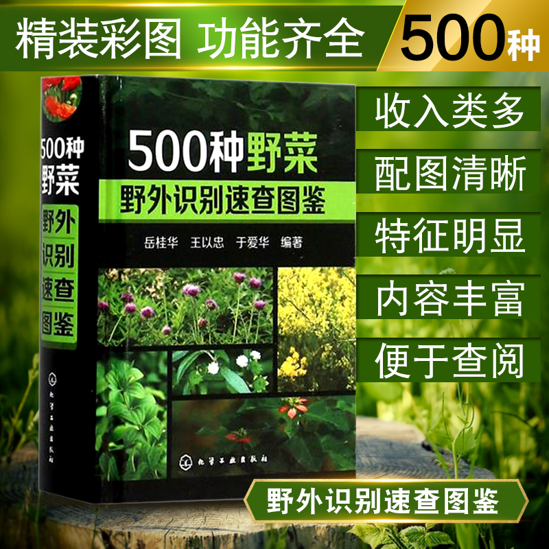 [醉染正版]500种野菜野外识别速查图鉴中医养生书籍大全自然生物科学植物草药识别学百科全书健康饮食谱书野外效游探险生活常高清大图