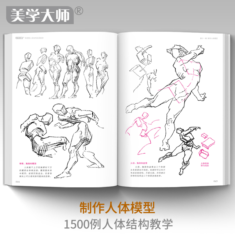 [正版]书籍2020新书 黄金版伯里曼人体结构绘画教学人物速写入门高清大图